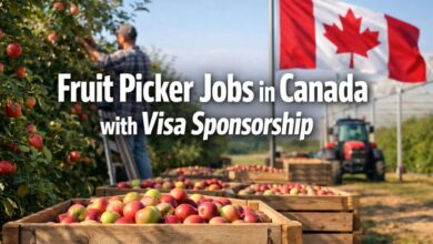 Fruit Picker Jobs in Canada with Visa Sponsorship