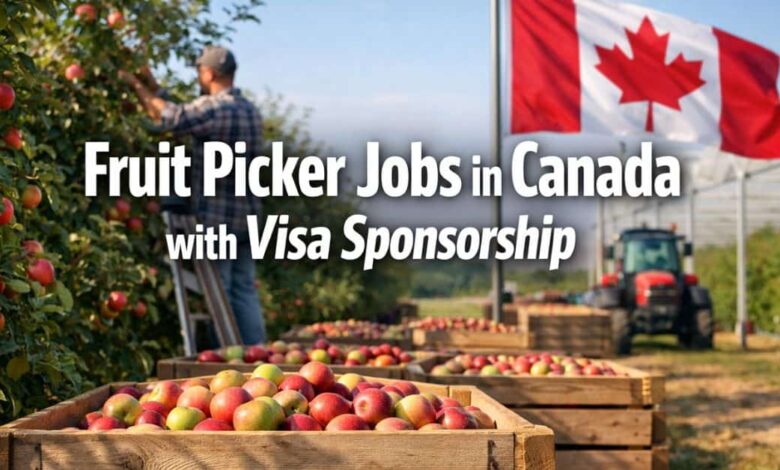 Fruit Picker Jobs in Canada with Visa Sponsorship
