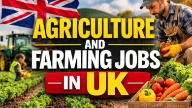 Agriculture and Farming Jobs in UK 2026 3 Agriculture and Farming Jobs in UK