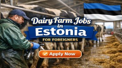 Dairy Farm Jobs in Estonia for Foreigners