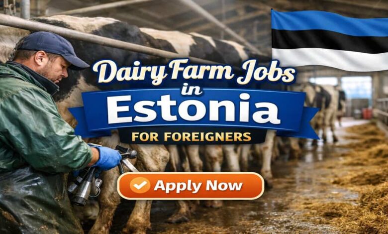 Dairy Farm Jobs in Estonia for Foreigners 2026 35 Dairy Farm Jobs in Estonia for Foreigners