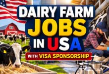 Dairy Farm Jobs in USA with Visa Sponsorship