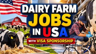 Dairy Farm Jobs in USA with Visa Sponsorship 2026 2 Dairy Farm Jobs in USA with Visa Sponsorship