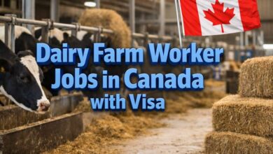 Dairy Farm Worker Jobs in Canada with Visa