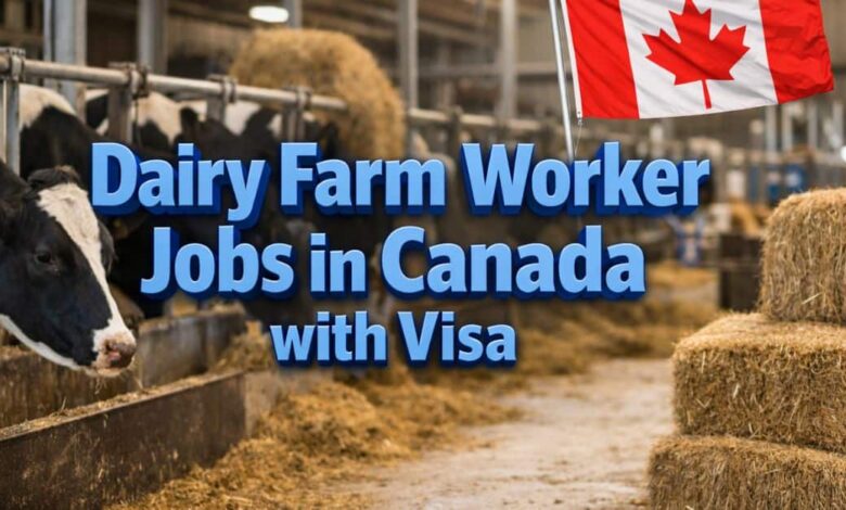 Dairy Farm Worker Jobs in Canada with Visa