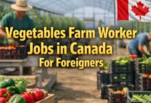 Vegetables Farm Worker Jobs in Canada For Foreigners