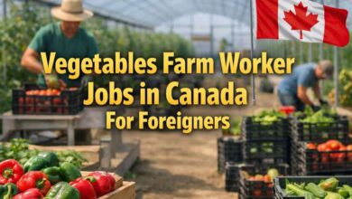 Vegetables Farm Worker Jobs in Canada For Foreigners