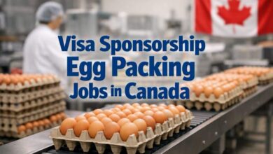 Visa Sponsorship Egg Packing Jobs in Canada