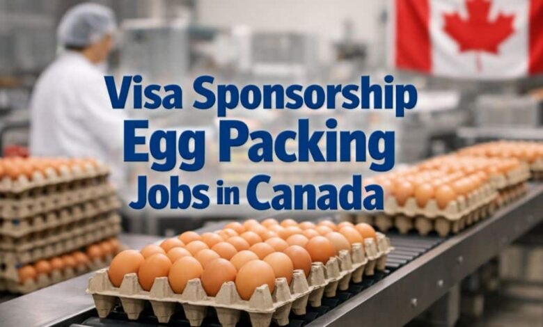 Visa Sponsorship Egg Packing Jobs in Canada