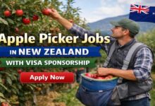 Apple Picker Jobs in New Zealand with Visa Sponsorship