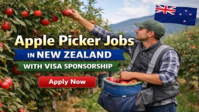 Apple Picker Jobs in New Zealand with Visa Sponsorship