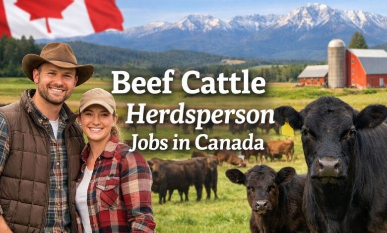 Beef Cattle Herdsperson Jobs in Canada 2026 - Apply Now 21 Beef Cattle Herdsperson Jobs in Canada