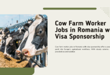 Cow Farm Worker Jobs in Romania