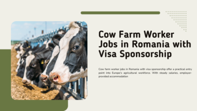 Cow Farm Worker Jobs in Romania