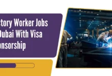 Factory Worker Jobs in Dubai