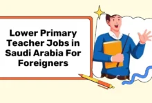 Lower Primary Teacher Jobs in Saudi Arabia