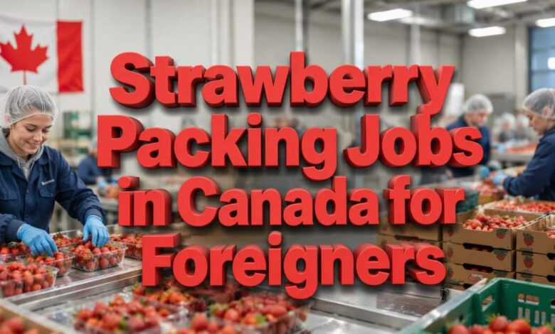 Strawberry Packing Jobs in Canada for Foreigners