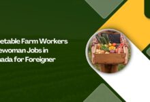 Vegetable Farm Workers Forewoman Jobs in Canada