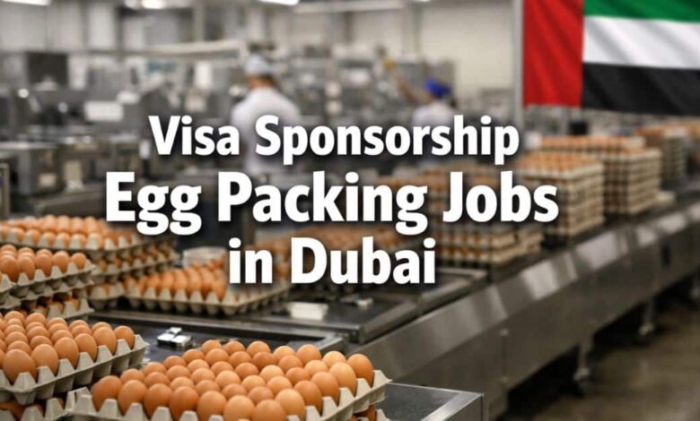 Visa Sponsorship Egg Packing Jobs in Dubai
