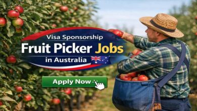 Visa Sponsorship Fruit Picker Jobs in Australia