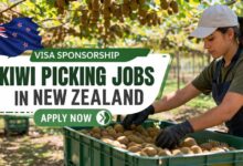 Visa Sponsorship Kiwi Picking Jobs in New Zealand
