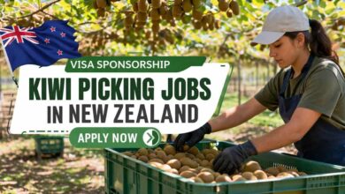 Visa Sponsorship Kiwi Picking Jobs in New Zealand