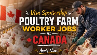 Visa Sponsorship Poultry Farm Worker Jobs in Canada