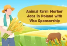 Animal Farm Worker Jobs in Poland