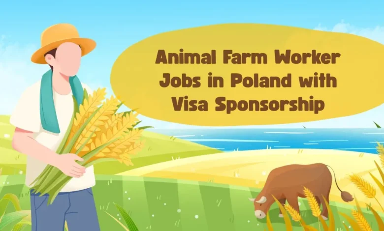 Animal Farm Worker Jobs in Poland