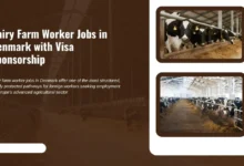 Dairy Farm Worker Jobs in Denmark