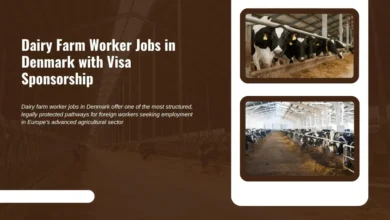 Dairy Farm Worker Jobs in Denmark