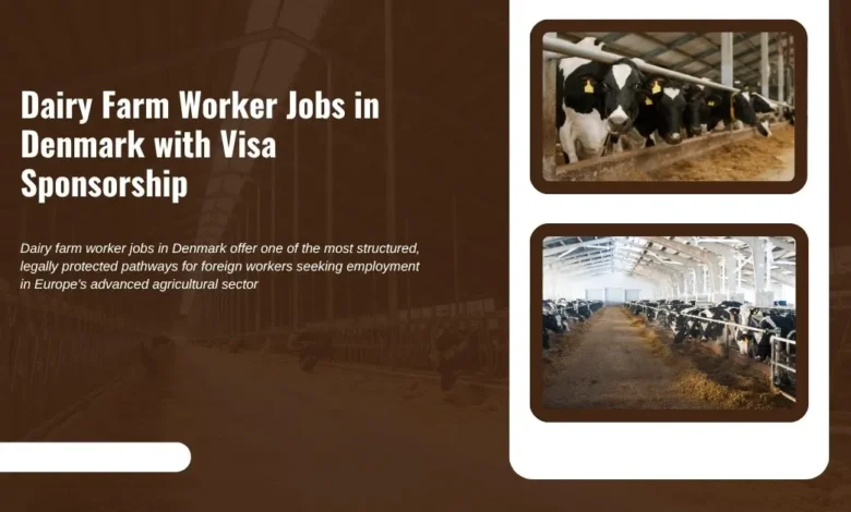 Dairy Farm Worker Jobs in Denmark