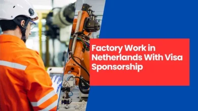 Factory Work in Netherlands