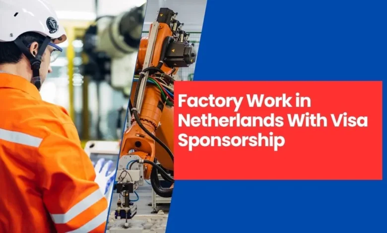 Factory Work in Netherlands
