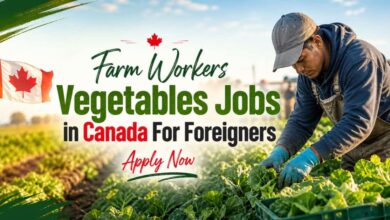 Farm Workers Vegetables Jobs in Canada For Foreigners