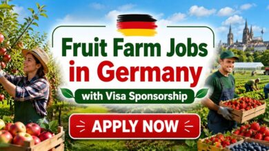 Fruit Farm Jobs in Germany with Visa Sponsorship