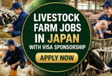 Livestock Farm Jobs in Japan with Visa Sponsorship