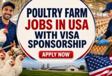Poultry Farm Jobs in USA with Visa Sponsorship