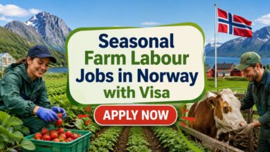 Seasonal Farm Labour Jobs in Norway with Visa