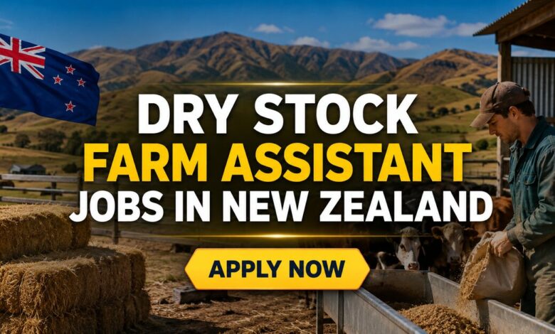 Dry Stock Farm Assistant Jobs in New Zealand