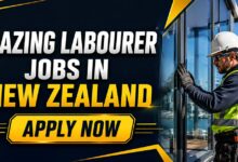 Glazing Labourer Jobs in New Zealand