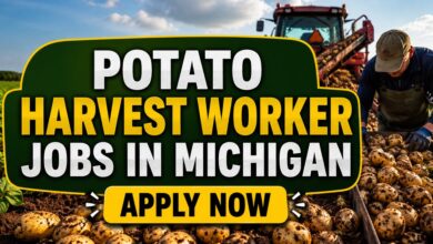 Potato Harvest Worker Jobs in Michigan