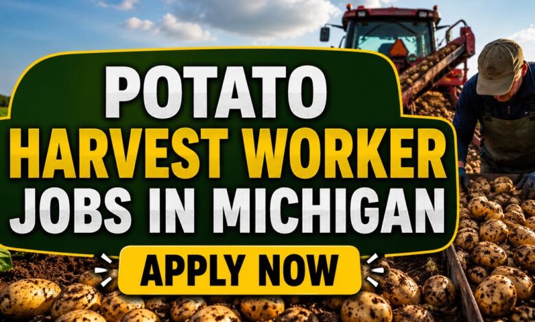 Potato Harvest Worker Jobs in Michigan