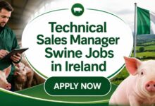 Technical Sales Manager Swine Jobs in Ireland